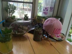 android_upload_pic-海边的猫和咖啡馆