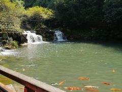 -兰溪地下长河
