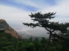 -崂山仰口游览区