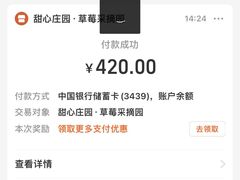 -甜心庄园·甜心草莓采摘园(西青中北店)