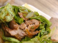 招牌烤鸭卷-特派卷·老北京烤鸭卷(合生汇购物中心店)