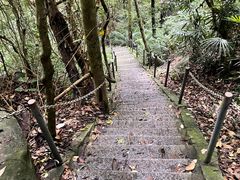 -七仙岭温泉国家森林公园
