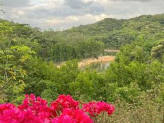 -阳台山森林公园