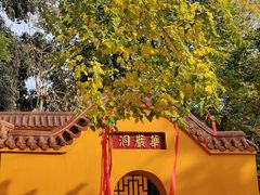 -宝通禅寺