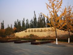 -永定河休闲森林公园