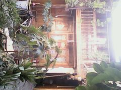 android_upload_pic-五花石之旅客栈