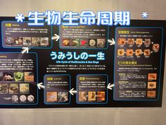 -鹿儿岛水族馆