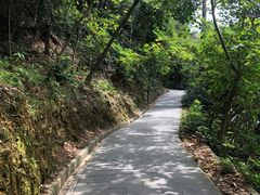 -羚羊峡古栈道森林公园