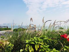 -深圳湾公园(南山区)