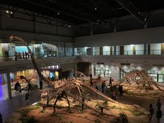 -自贡恐龙博物馆