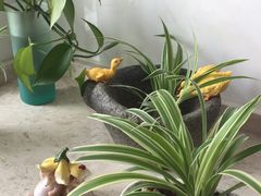 -新湖明珠城