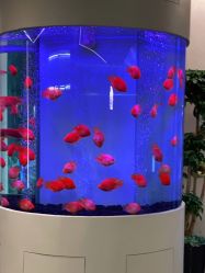 -新蝶变皮肤管理中心