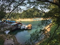 -广州市流溪河国家森林公园