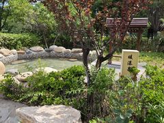 -瑞阁温泉酒店温泉中心