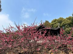 -无锡梅园公园