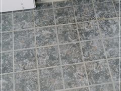 -金香兰牛肉面(北京路店)