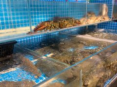 -韩记海鲜饺子旗舰店(红海新区店)