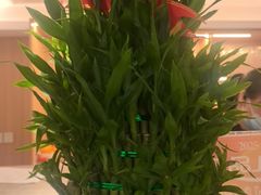 -和记小菜(名品店)
