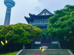 -南京古林公园