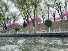 -皇家御河游(紫御湾码头)