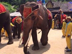 -西双版纳勐泐文化旅游区