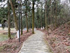 -象山森林公园