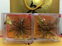 -上海市第一医药商店(南京东路店)
