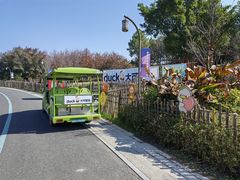 -三垟湿地