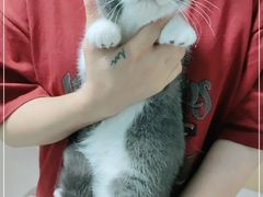 -lincat·猫舍(广州店)