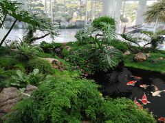 -罗红摄影艺术馆