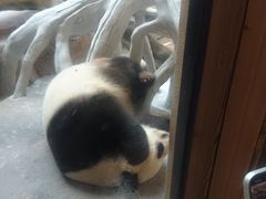 -宁波野生动物园