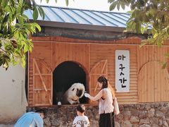 -HERRE·FARM 赫尔露营农场·团建聚会包场