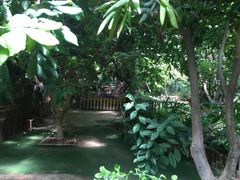 -呀路古热带植物园
