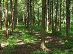-小格里自然风景区