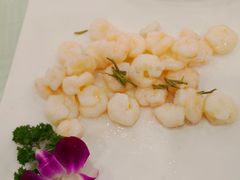 水晶虾仁-江南村酒家