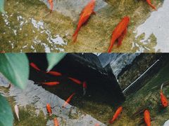 -川流不息(北蔡休闲广场店)