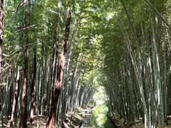 -同里国家湿地公园