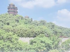 -七欣天香辣蟹火锅(南京建宁路大观天地店)