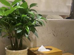 -周家二小姐的菜·扬州菜·香炒蟹·狮子头(江都金鹰店)
