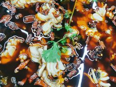 -重庆何乌鱼(南湖逸家店)