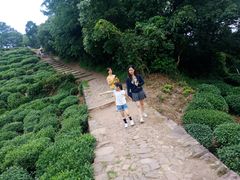 -西湖风景区十里琅珰-五云山