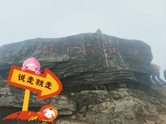 -梧桐山风景名胜区