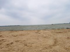 -瑶湖郊野森林公园