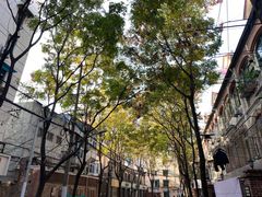 -上海广播电视台&上海东方传媒集团有限公司快递接收处