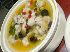 -邵年鸽(杨庄店)