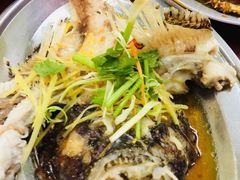 -仙本那小型鱼市