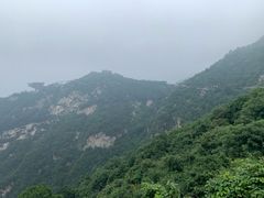 -少华山国家森林公园