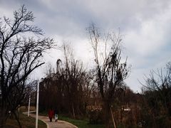 -白鹭湾湿地公园