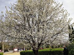 -洛阳市隋唐城遗址植物园