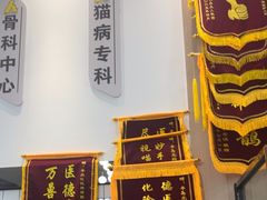 -半岛宠物医院24小时(科华中路店)